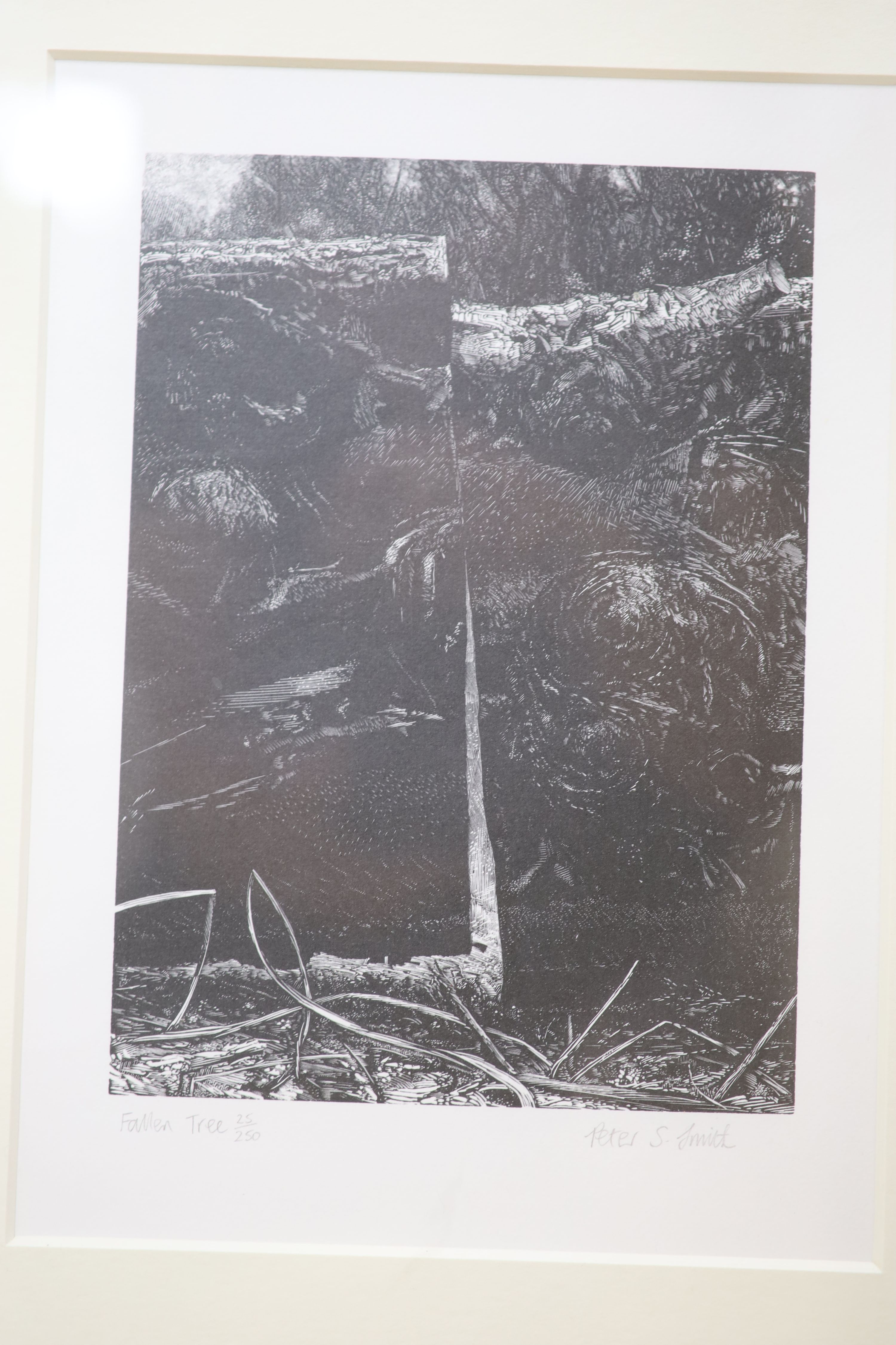 Seven assorted near contemporary wood engravings by George Tute, Monica Poole, Peter Reddick, Peter S. Smith, Claire Bulby and AC Garrett, largest 50 x 25cm